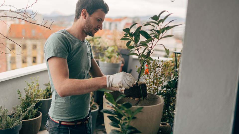 vårtips-Mann-ompotting